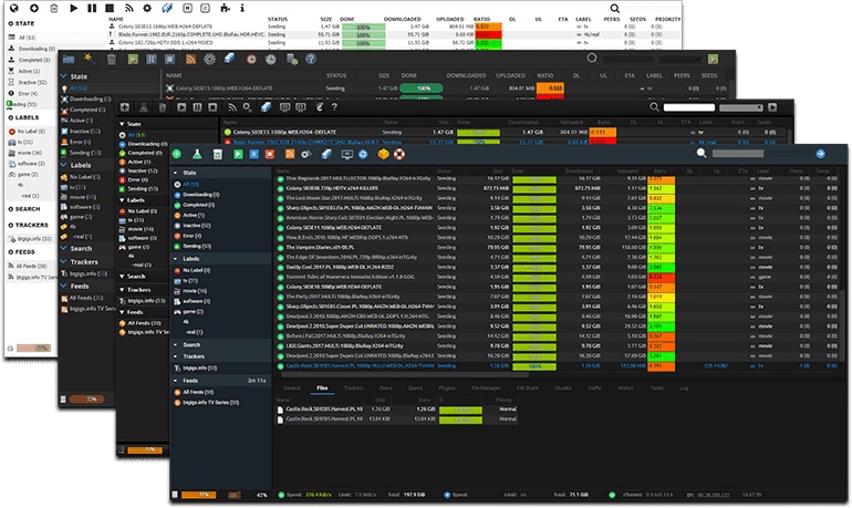 Rtorrent-Pro - Image 2