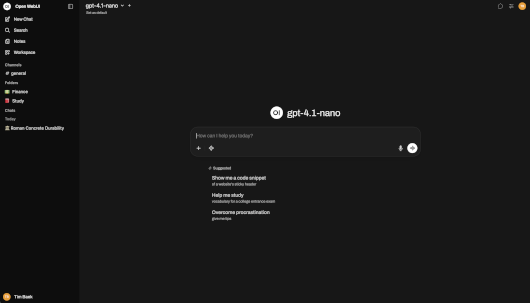 Open WebUI (Apache85) - Image 2