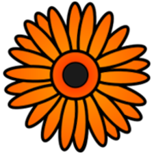 Gerbera (MUSL)