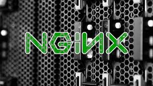 Nginx - Image 2