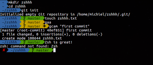 Oh My ZSH - Image 2