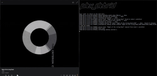 Plex Debrid (Apache81) - Image 2