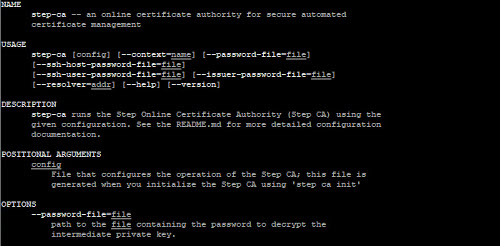 Step CA (CLI) - Image 2