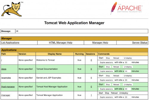 Apache Tomcat 10 - Image 2