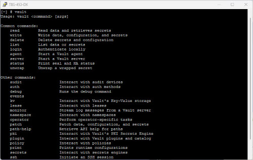 Vault (CLI) - Image 2