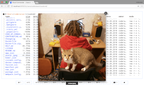 Cloud Commander (Apache84) - Image 2