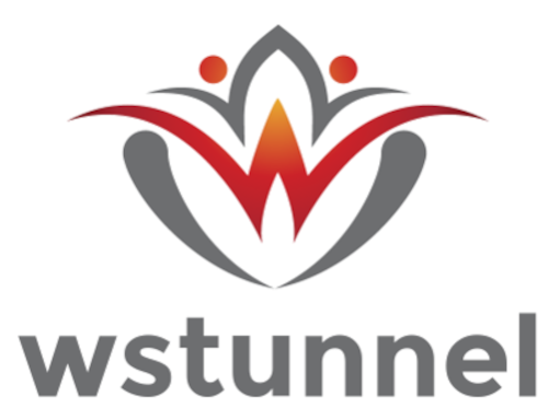 WSTunnel (CLI) - Image 2
